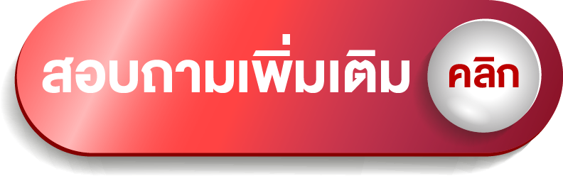 ปุ่มโปรโมชั่น